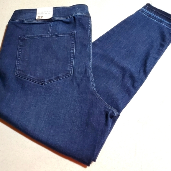 Lane Bryant Sz. 22 Blue Jean Jeggings - Picture 1 of 10